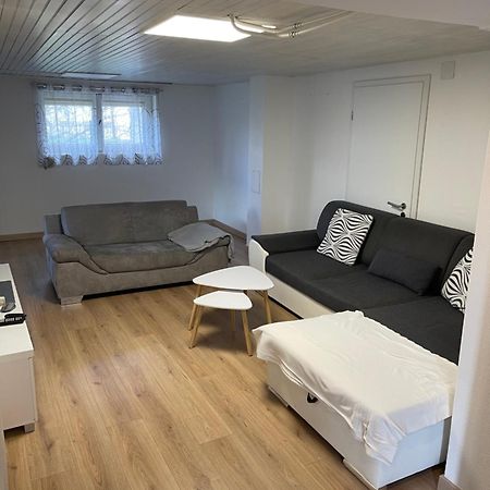 Chaleureux Appartement - Estrade Bollwiller Εξωτερικό φωτογραφία